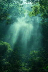 Obraz premium Photo réaliste d’une jungle tropicale brumeuse avec une atmosphère éthérée