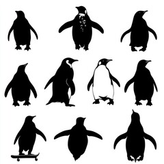 Obraz premium A group of penguins standing side by side in a row, possibly waiting or preparing for something