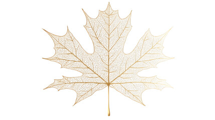 Maple leaf in elegant golden line art with detailed veins isolated on white background