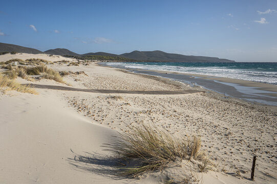 The beautiful beach of Is Solinas in Sardinia with its high white dunes on a windy day