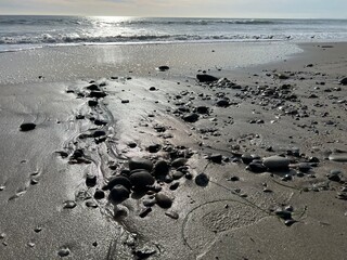 Tide in California Coast