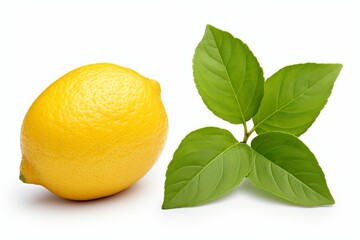 Bright lemon and fresh green leaves contrast in a vibrant display of nature. Generative AI