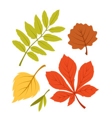 A collection of colorful autumn leaves in red, yellow, green, and brown on a white background. Creative illustration, perfect for seasonal concepts. Vector illustration.