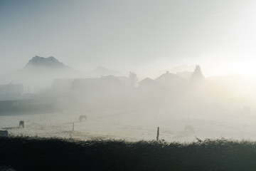 A foggy winter morning in a rural village with grazing horses, frost-covered fields, and distant mountains partially obscured by mist.
