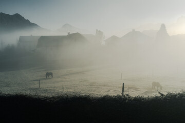 A tranquil farm scene on a misty morning featuring grazing horses, frosted grass, buildings and distant mountains under soft light.