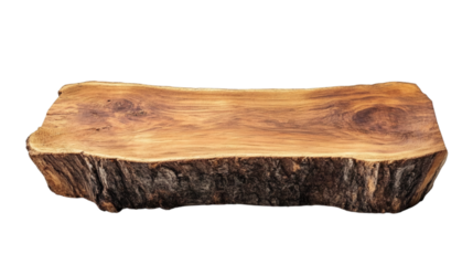 stump isolated on white background 