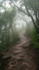Fototapeta premium Serene Misty Pathway Through Lush Green Forest in Foggy Weather