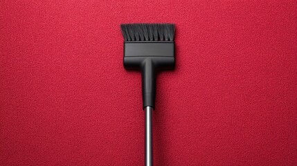 Comprehensive weekly cleaning tasks including vacuuming carpets and disposing of trash for a tidy and hygienic home environment  Maintaining a structured cleaning routine for residential spaces