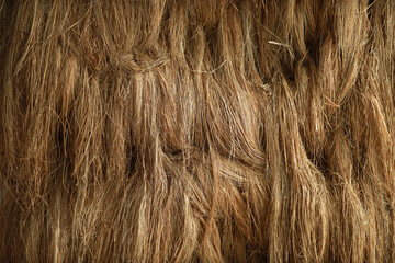 Dry yellow haystack background texture