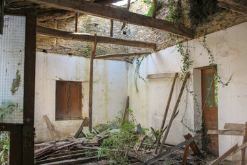 a wooden roofed house is becoming nature heaven