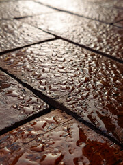 Wet brick pavement with water droplets, highlighting the texture, pattern, and glossy.