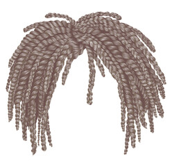 trendy african long  hair brown blond  braids . 
realistic  3d . fashion beauty style .hairstyle wig