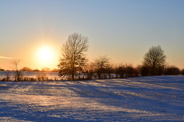 Sunset Over Trees in a Snowy Field