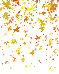 Autumn Leaves Falling Gently on Transparent Background with Vibrant Seasonal Colors
