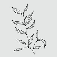 Plant with leaves and tree branch vintage line art vector illustration