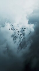 Birds in Dark Clouds: A Stunning Nature Photograph