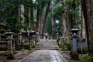 Koyasan cemetery in Japan. Amazing lights and atmosphere. Foggy trees. 