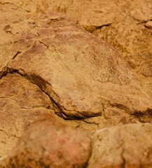 cracked soil texture