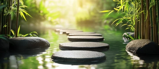 Stepping stones in a tranquil pond with bamboo and sunlight in the background.