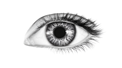 Human eye transparent background