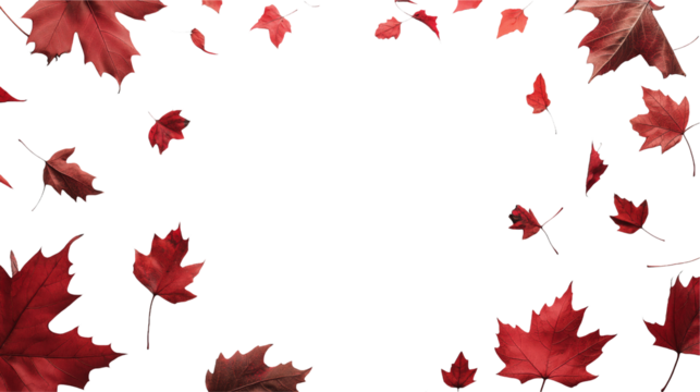 Falling Autumn Leaves on Black Background: Perfect for Seasonal Designs on white and transparent Background