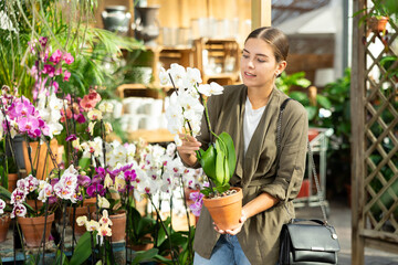 Young woman lovingly selects a flower pot with orchid flowers in a flower shop © JackF
