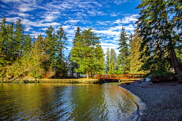 Naklejka premium Bridge over the creek under a tree in Porteau Cove Provincial Park, green water, green lawn and pine trees on the background of a forested against a blue cloudy sky 