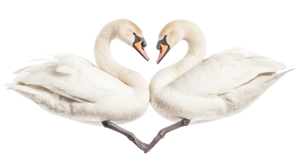 White sawn making heart for valentine day isolated on white background