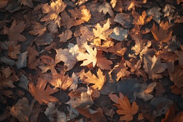 Autumn forest at sunset, where the sun's rays create soft shadows on the ground covered with mocha mousse leaves 