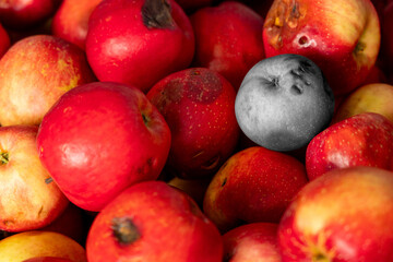 apples