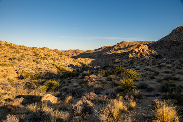 Shadows Snake Through Valley Like A River In Joshua Tree