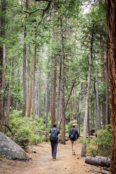 Yosemite National Park in Spring