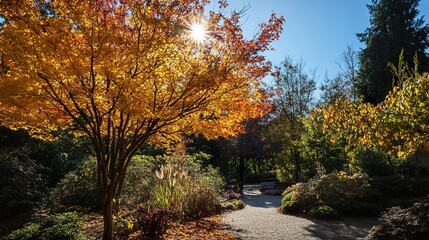Naklejka premium Autumnal Park Path: Sunlit Fall Foliage and Scenic Garden