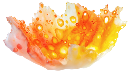 close up of a burning match isolated on white background