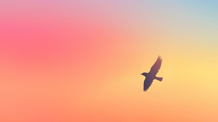 Fototapeta premium A bird is flying in the sky above a colorful background