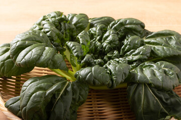 ［宮城県産］ターサイ