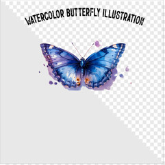 Colorful watercolor butterfly vector illustration. Colorful watercolor butterfly vector. 