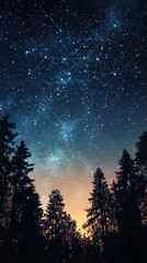 Naklejka premium Foggy forest at night with full moon and stars