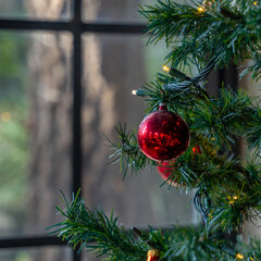 Esfera roja en &aacute;rbol de Navidad junto a ventana con vista al bosque exterior