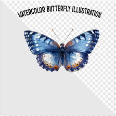 Colorful watercolor butterfly vector illustration. Colorful watercolor butterfly vector. 