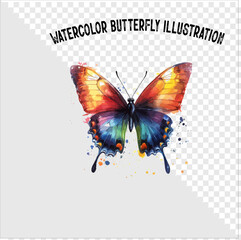 Colorful watercolor butterfly vector illustration. Colorful watercolor butterfly vector. 