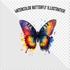 Colorful watercolor butterfly vector illustration. Colorful watercolor butterfly vector. 