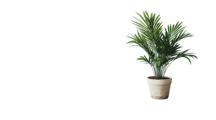 Obraz premium Wooden floor with a potted plant adding a natural aesthetic isolated on white background