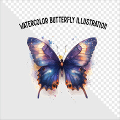 Colorful watercolor butterfly vector illustration. Colorful watercolor butterfly vector. 