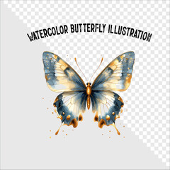 Colorful watercolor butterfly vector illustration. Colorful watercolor butterfly vector. 