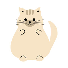 Cute nice lovely cat cartoon character on white background vector illustration