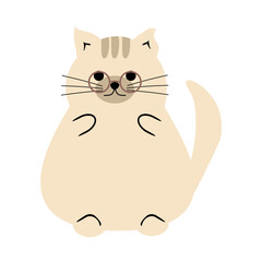 Cute nice lovely cat cartoon character on white background vector illustration