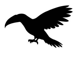 Obraz premium Silhouette image of flying toucan isolated on white background 