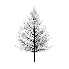 Obraz premium tree Advertisement isolated on white background full depth of field 