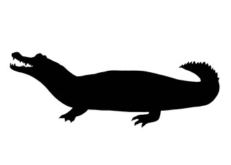 Silhouette image of crocodile isolated on white background 